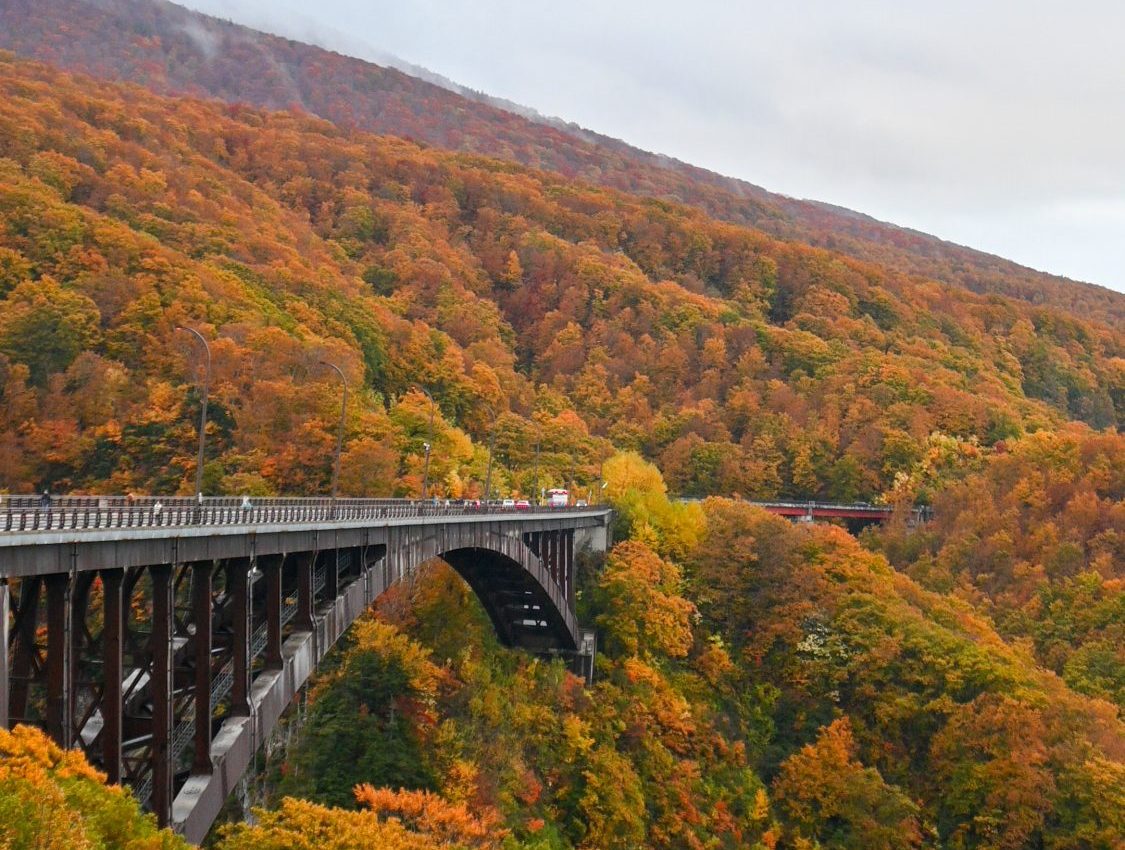 Things to do in Aomori – Planning the perfect Aomori itinerary