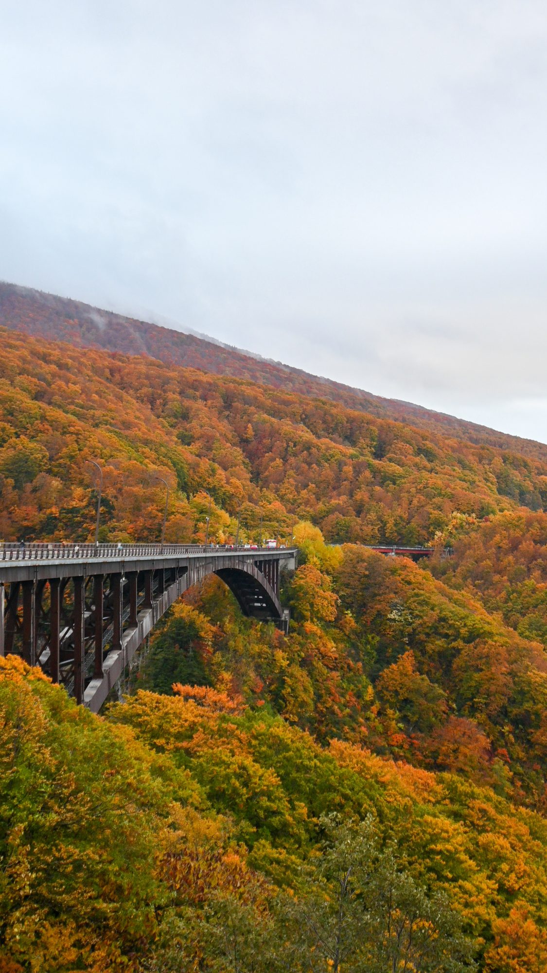 Things to do in Aomori – Planning the perfect Aomori itinerary