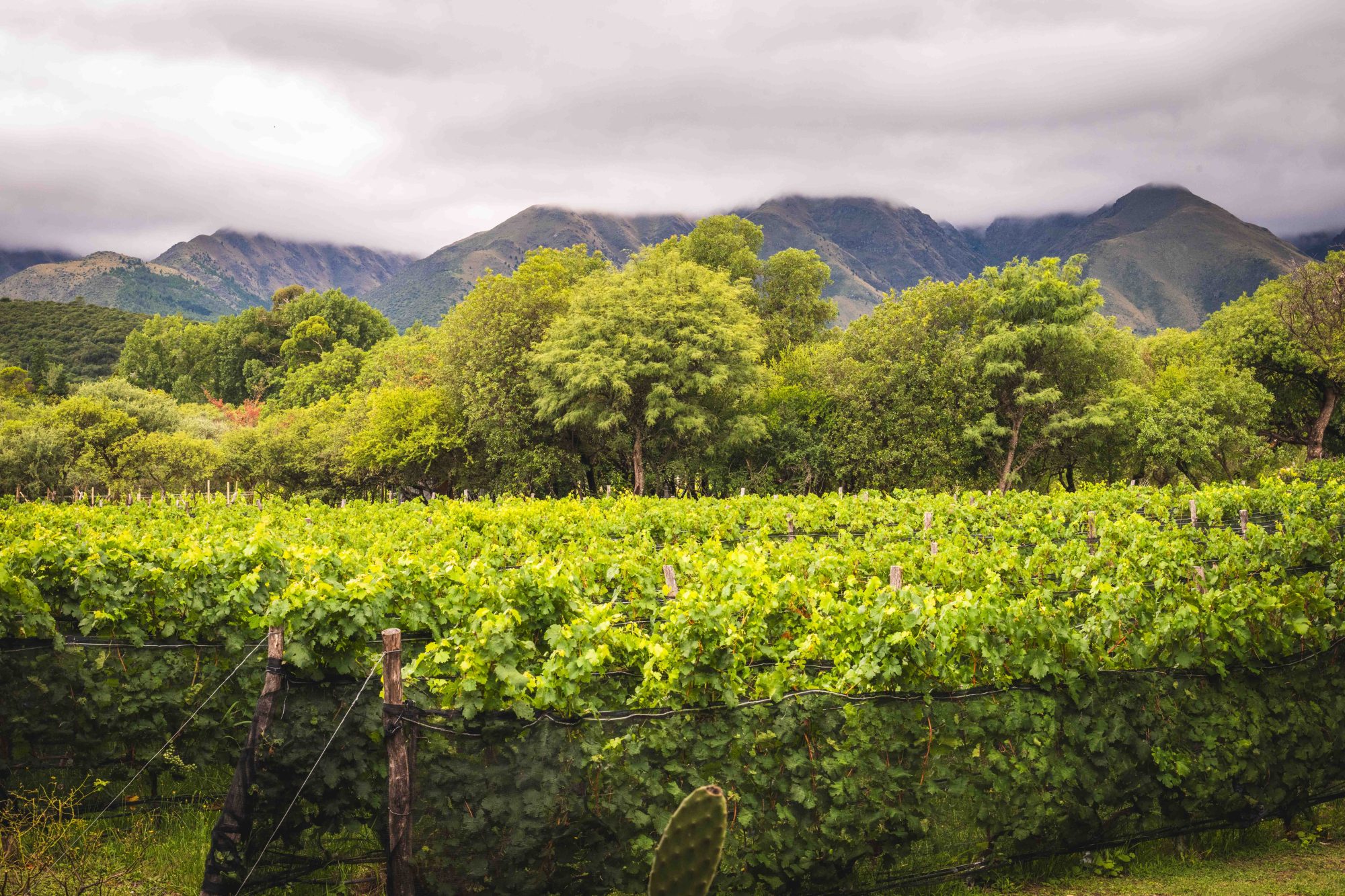 San Javier y Yacanto – The Ultimate guide